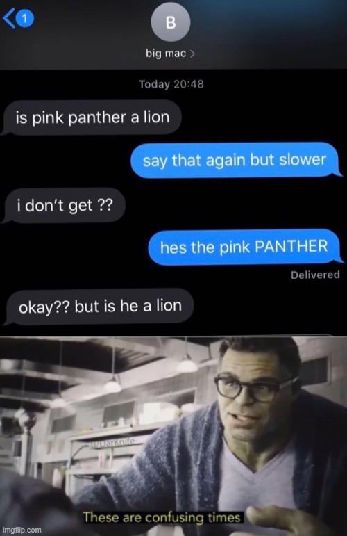 hes a panther duh | image tagged in these are confusing times,memes | made w/ Imgflip meme maker