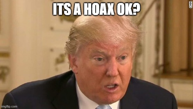 Trump Stupid Face | ITS A HOAX OK? | image tagged in trump stupid face | made w/ Imgflip meme maker