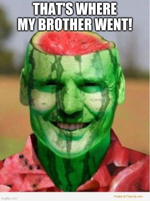 Watermelon Guy | THAT'S WHERE MY BROTHER WENT! | image tagged in watermelon guy | made w/ Imgflip meme maker