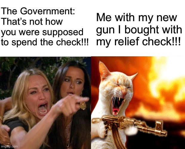 The Government: That’s not how you were supposed to spend the check!!! Me with my new gun I bought with my relief check!!! | image tagged in memes,woman yelling at cat | made w/ Imgflip meme maker
