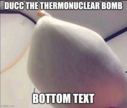 thicc ducc | DUCC THE THERMONUCLEAR BOMB; BOTTOM TEXT | image tagged in thicc ducc | made w/ Imgflip meme maker