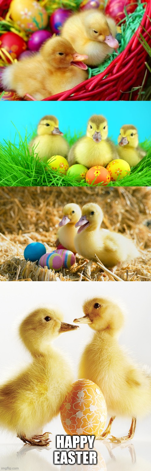 HERE'S A BUNCH OF DUCKLINGS AND EASTER EGGS | HAPPY EASTER | image tagged in ducks,easter,duckling | made w/ Imgflip meme maker