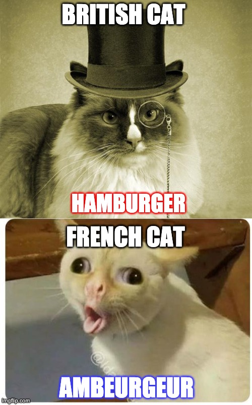 British Cat vs French Cat: Hamburger | BRITISH CAT; HAMBURGER; FRENCH CAT; AMBEURGEUR | image tagged in fancy cat,british,french,funny,memes,cats | made w/ Imgflip meme maker