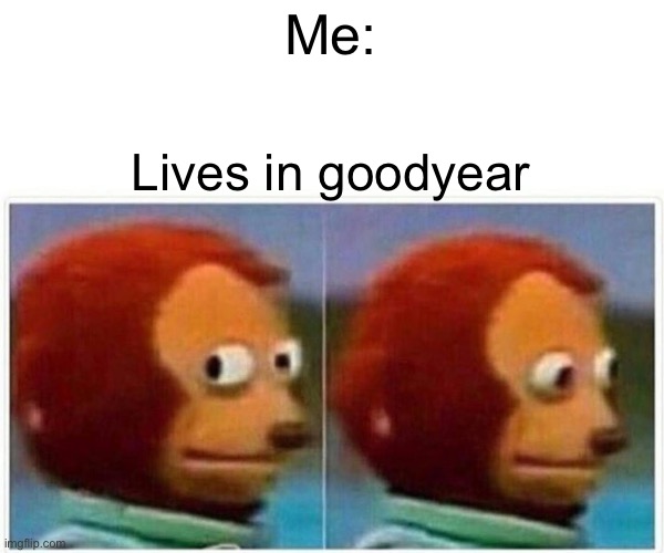 Me: Lives in goodyear | image tagged in memes,monkey puppet | made w/ Imgflip meme maker