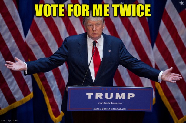 Donald Trump | VOTE FOR ME TWICE | image tagged in donald trump | made w/ Imgflip meme maker