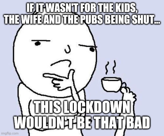 thinking meme | IF IT WASN'T FOR THE KIDS, THE WIFE AND THE PUBS BEING SHUT... THIS LOCKDOWN WOULDN'T BE THAT BAD | image tagged in thinking meme | made w/ Imgflip meme maker