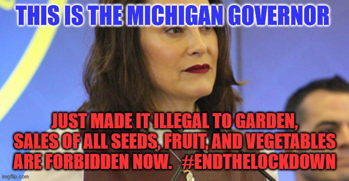 THIS IS THE MICHIGAN GOVERNOR; JUST MADE IT ILLEGAL TO GARDEN, SALES OF ALL SEEDS, FRUIT, AND VEGETABLES ARE FORBIDDEN NOW.   #ENDTHELOCKDOWN | image tagged in political meme | made w/ Imgflip meme maker