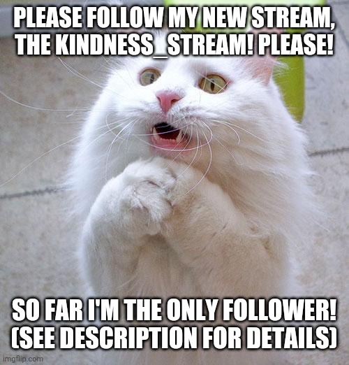 Begging Cat | PLEASE FOLLOW MY NEW STREAM, THE KINDNESS_STREAM! PLEASE! SO FAR I'M THE ONLY FOLLOWER! (SEE DESCRIPTION FOR DETAILS) | image tagged in begging cat | made w/ Imgflip meme maker