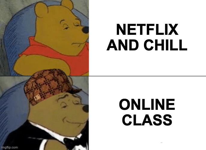 Tuxedo Winnie The Pooh | NETFLIX AND CHILL; ONLINE CLASS | image tagged in memes,tuxedo winnie the pooh | made w/ Imgflip meme maker