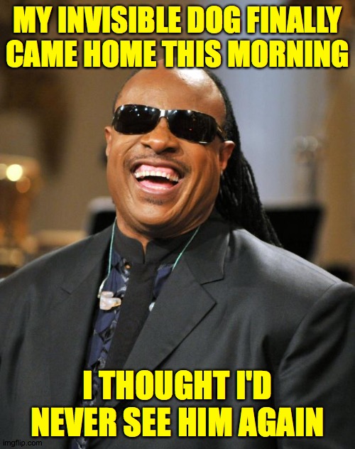Stevie Wonder | MY INVISIBLE DOG FINALLY
CAME HOME THIS MORNING; I THOUGHT I'D NEVER SEE HIM AGAIN | image tagged in stevie wonder,memes,ruff stuff | made w/ Imgflip meme maker