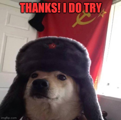 Doggo in soviet Russia... | THANKS! I DO TRY | image tagged in doggo in soviet russia | made w/ Imgflip meme maker