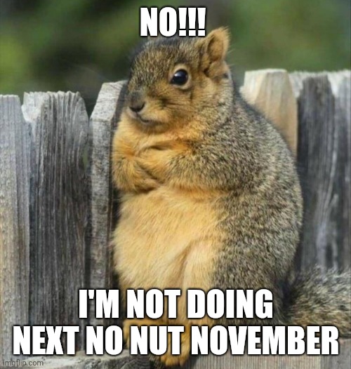 No Nut November | NO!!! I'M NOT DOING NEXT NO NUT NOVEMBER | image tagged in funny memes | made w/ Imgflip meme maker