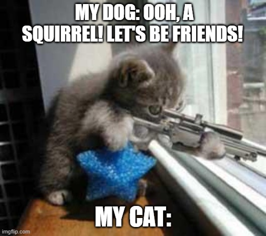Cat Sniper | MY DOG: OOH, A SQUIRREL! LET'S BE FRIENDS! MY CAT: | image tagged in cat sniper | made w/ Imgflip meme maker