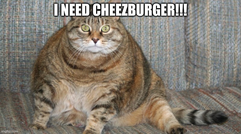 I NEED CHEEZBURGER!!! | made w/ Imgflip meme maker
