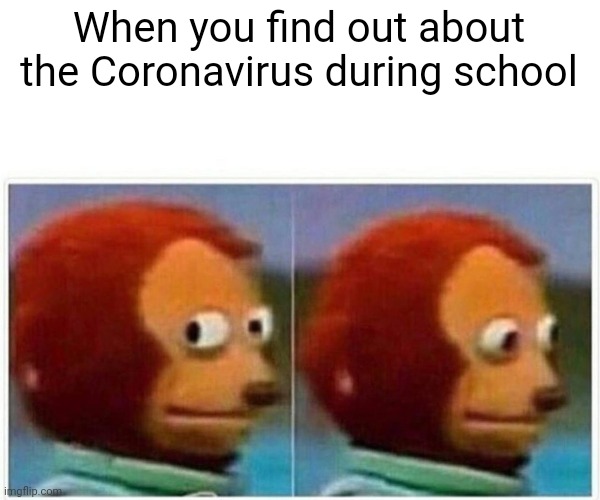 Monkey Puppet Meme | When you find out about the Coronavirus during school | image tagged in memes,monkey puppet | made w/ Imgflip meme maker