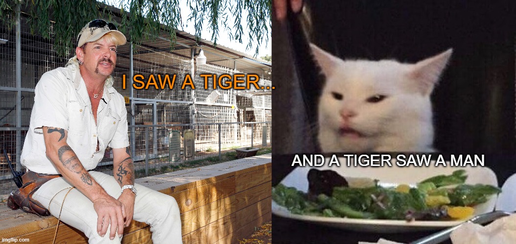 I SAW A TIGER... AND A TIGER SAW A MAN | image tagged in joe exotic,tiger king | made w/ Imgflip meme maker