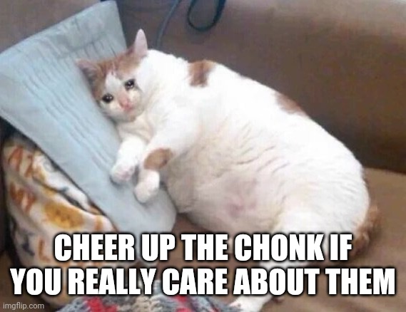 No sad chonks can be here they must be happy | CHEER UP THE CHONK IF YOU REALLY CARE ABOUT THEM | image tagged in fat cat crying | made w/ Imgflip meme maker