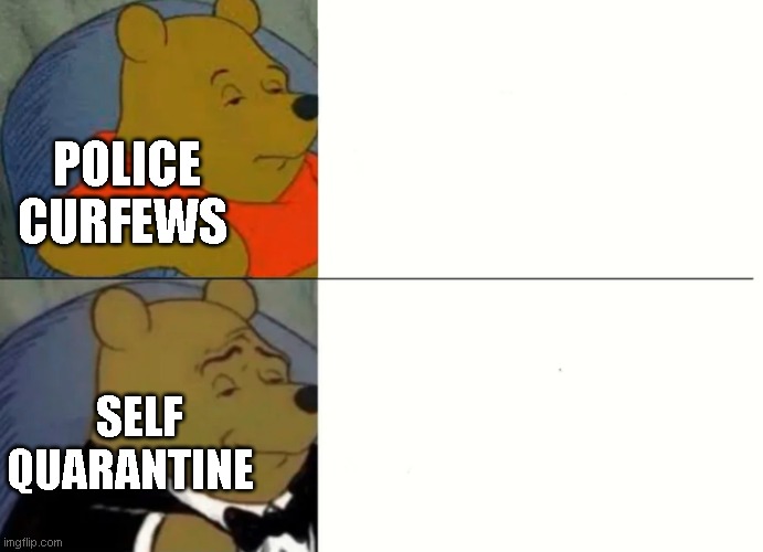 Fancy Winnie The Pooh Meme | POLICE CURFEWS; SELF QUARANTINE | image tagged in fancy winnie the pooh meme | made w/ Imgflip meme maker