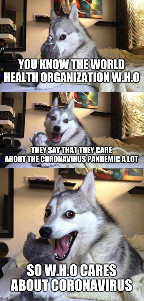 Bad Pun Dog Meme | YOU KNOW THE WORLD HEALTH ORGANIZATION W.H.O; THEY SAY THAT THEY CARE ABOUT THE CORONAVIRUS PANDEMIC A LOT; SO W.H.O CARES ABOUT CORONAVIRUS | image tagged in memes,bad pun dog | made w/ Imgflip meme maker