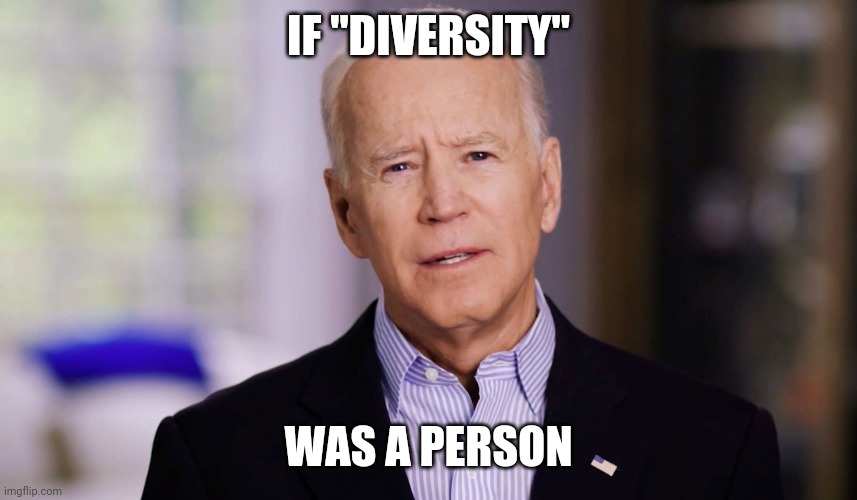 Joe Biden 2020 | IF "DIVERSITY" WAS A PERSON | image tagged in joe biden 2020 | made w/ Imgflip meme maker