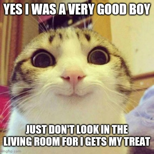 Smiling Cat Meme | YES I WAS A VERY GOOD BOY; JUST DON'T LOOK IN THE LIVING ROOM FOR I GETS MY TREAT | image tagged in memes,smiling cat | made w/ Imgflip meme maker