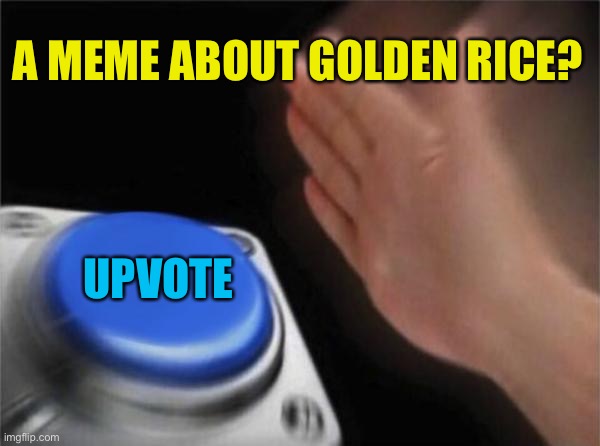 Golden Rice: A promising way to combat Vitamin A deficiency in poor countries which has been shot down due to GM fears. | A MEME ABOUT GOLDEN RICE? UPVOTE | image tagged in memes,blank nut button,genetics,rice,conspiracy theory,farming | made w/ Imgflip meme maker
