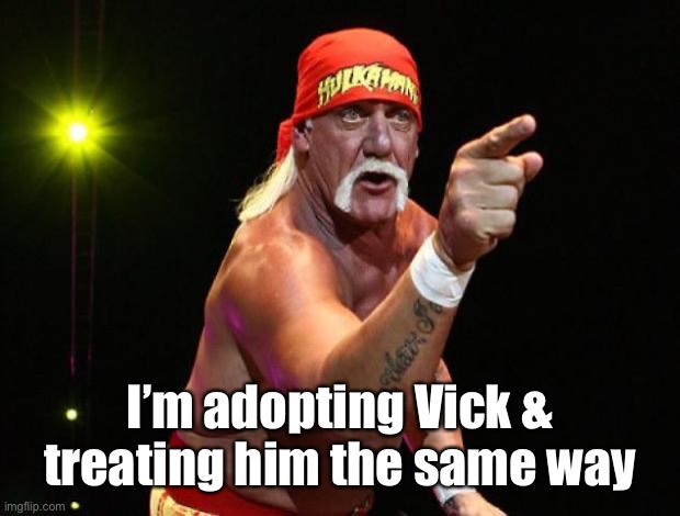 Hulk Hogan | I’m adopting Vick & treating him the same way | image tagged in hulk hogan | made w/ Imgflip meme maker