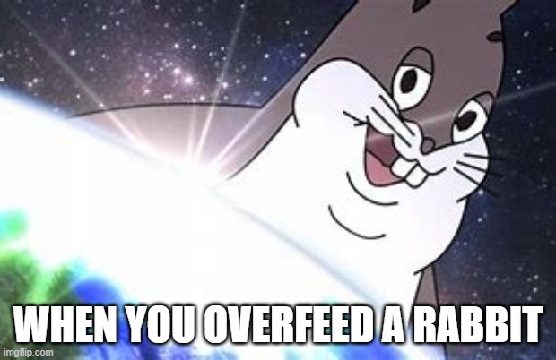 WHEN YOU OVERFEED A RABBIT | image tagged in funny | made w/ Imgflip meme maker