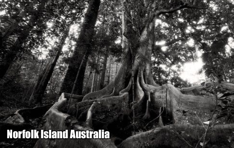 Norfolk Island Australia | made w/ Imgflip meme maker