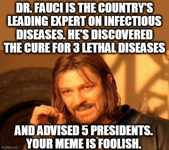 One Does Not Simply Meme | DR. FAUCI IS THE COUNTRY'S LEADING EXPERT ON INFECTIOUS DISEASES. HE'S DISCOVERED THE CURE FOR 3 LETHAL DISEASES AND ADVISED 5 PRESIDENTS. Y | image tagged in memes,one does not simply | made w/ Imgflip meme maker