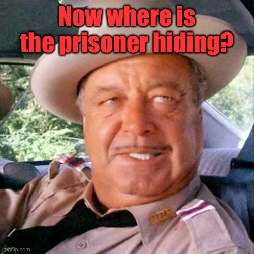 Sheriff Buford T. Justice You Sum Bitch | Now where is the prisoner hiding? | image tagged in sheriff buford t justice you sum bitch | made w/ Imgflip meme maker