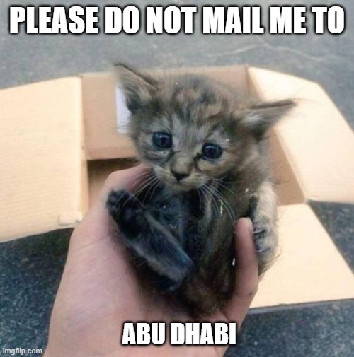 mailing | PLEASE DO NOT MAIL ME TO; ABU DHABI | image tagged in garfield,kitty | made w/ Imgflip meme maker