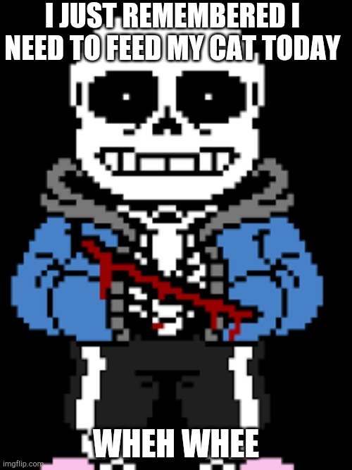 oof sans | I JUST REMEMBERED I NEED TO FEED MY CAT TODAY; WHEH WHEE | image tagged in oof sans | made w/ Imgflip meme maker