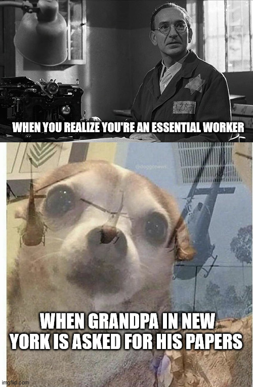 WHEN YOU REALIZE YOU'RE AN ESSENTIAL WORKER; WHEN GRANDPA IN NEW YORK IS ASKED FOR HIS PAPERS | image tagged in covid | made w/ Imgflip meme maker