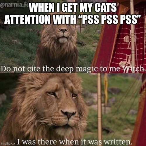 Narnia Meme | WHEN I GET MY CATS ATTENTION WITH “PSS PSS PSS” | image tagged in narnia meme | made w/ Imgflip meme maker