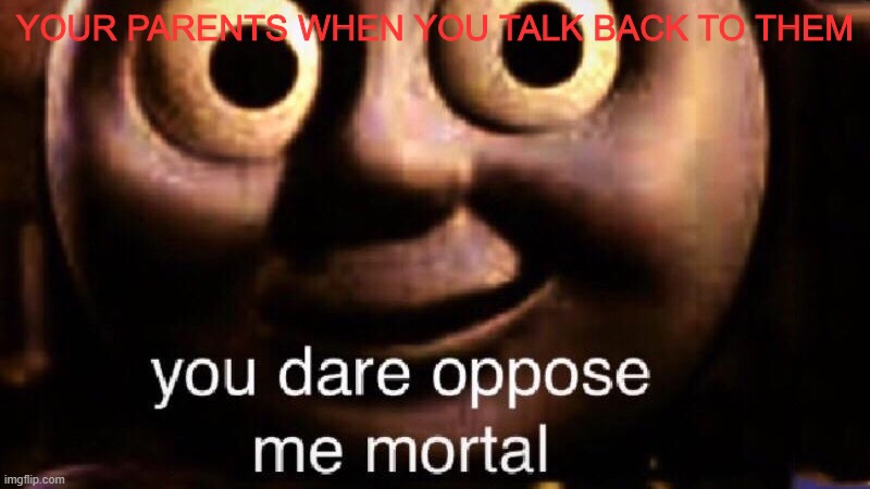 You dare oppose me mortal | YOUR PARENTS WHEN YOU TALK BACK TO THEM | image tagged in you dare oppose me mortal | made w/ Imgflip meme maker