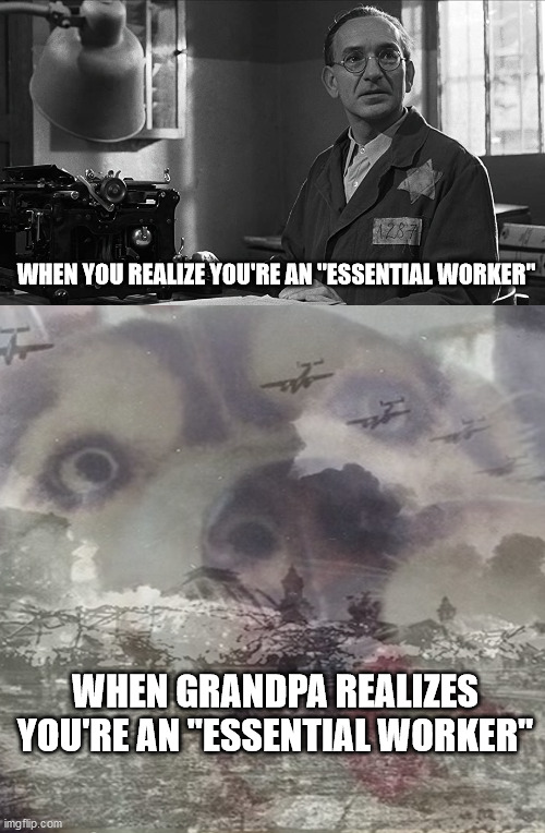 Essential Workers In New York | WHEN YOU REALIZE YOU'RE AN "ESSENTIAL WORKER"; WHEN GRANDPA REALIZES YOU'RE AN "ESSENTIAL WORKER" | image tagged in coronavirus,covid-19,democratic socialism,fascism | made w/ Imgflip meme maker