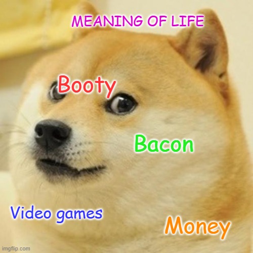 Doge | MEANING OF LIFE; Booty; Bacon; Video games; Money | image tagged in memes,doge | made w/ Imgflip meme maker
