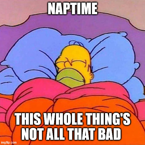 Covid-19 | NAPTIME; THIS WHOLE THING'S NOT ALL THAT BAD | image tagged in homer napping,naptime,covid-19,coronavirus | made w/ Imgflip meme maker