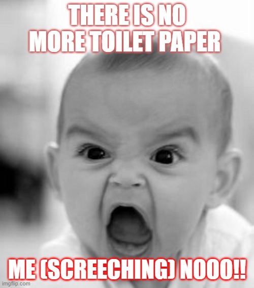 Angry Baby | THERE IS NO MORE TOILET PAPER; ME (SCREECHING) NOOO!! | image tagged in memes,angry baby | made w/ Imgflip meme maker