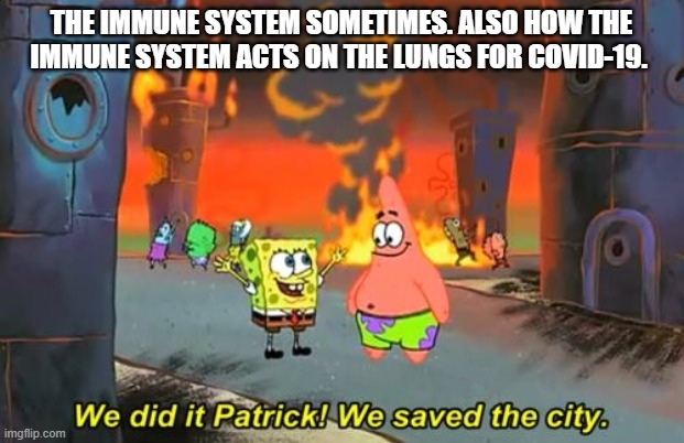 Spongebob we saved the city | THE IMMUNE SYSTEM SOMETIMES. ALSO HOW THE IMMUNE SYSTEM ACTS ON THE LUNGS FOR COVID-19. | image tagged in spongebob we saved the city | made w/ Imgflip meme maker