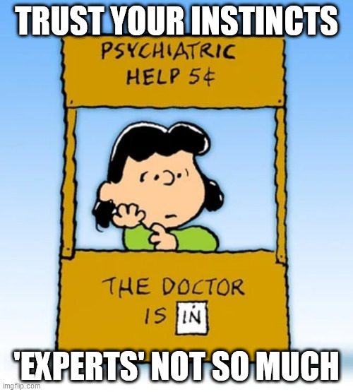 TRUST YOUR INSTINCTS; 'EXPERTS' NOT SO MUCH | image tagged in memes,peanuts | made w/ Imgflip meme maker