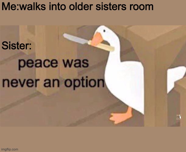 Untitled Goose Peace Was Never an Option | Me:walks into older sisters room; Sister: | image tagged in untitled goose peace was never an option | made w/ Imgflip meme maker