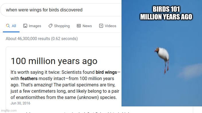 Birds 101 Million years ago |  BIRDS 101 MILLION YEARS AGO | image tagged in funny,meme,history,facts,birds | made w/ Imgflip meme maker