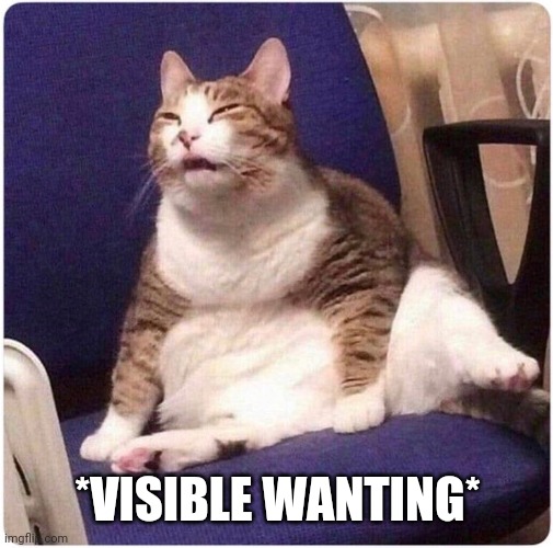 Fat Cat | *VISIBLE WANTING* | image tagged in fat cat | made w/ Imgflip meme maker