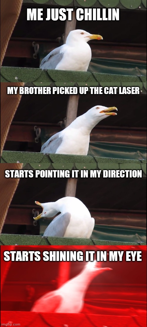 Inhaling Seagull | ME JUST CHILLIN; MY BROTHER PICKED UP THE CAT LASER; STARTS POINTING IT IN MY DIRECTION; STARTS SHINING IT IN MY EYE | image tagged in memes,inhaling seagull | made w/ Imgflip meme maker