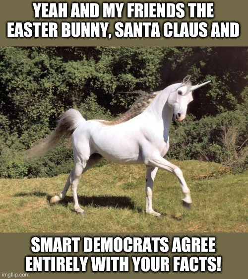 Unicorns | YEAH AND MY FRIENDS THE EASTER BUNNY, SANTA CLAUS AND SMART DEMOCRATS AGREE ENTIRELY WITH YOUR FACTS! | image tagged in unicorns | made w/ Imgflip meme maker