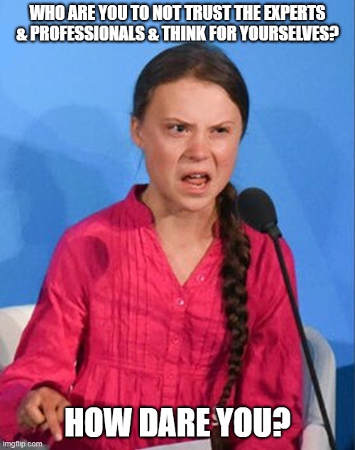 Greta Thunberg how dare you | WHO ARE YOU TO NOT TRUST THE EXPERTS & PROFESSIONALS & THINK FOR YOURSELVES? HOW DARE YOU? | image tagged in greta thunberg how dare you,false flag,covid-19,the great awakening,hoax | made w/ Imgflip meme maker