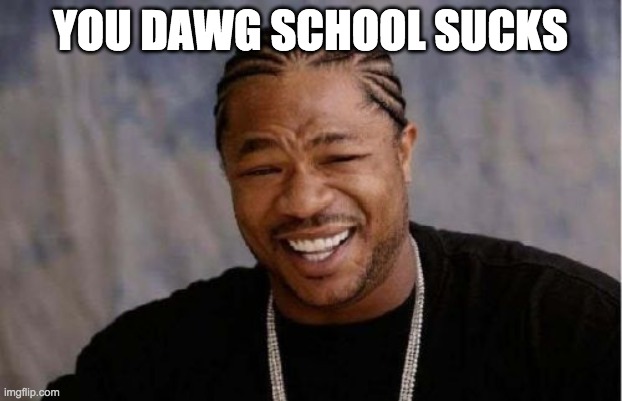 Yo Dawg Heard You | YOU DAWG SCHOOL SUCKS | image tagged in memes,yo dawg heard you | made w/ Imgflip meme maker