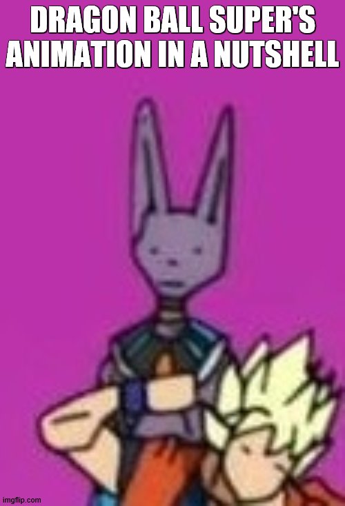 Ditto Beerus | DRAGON BALL SUPER'S ANIMATION IN A NUTSHELL | image tagged in ditto beerus | made w/ Imgflip meme maker